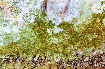 N 067A